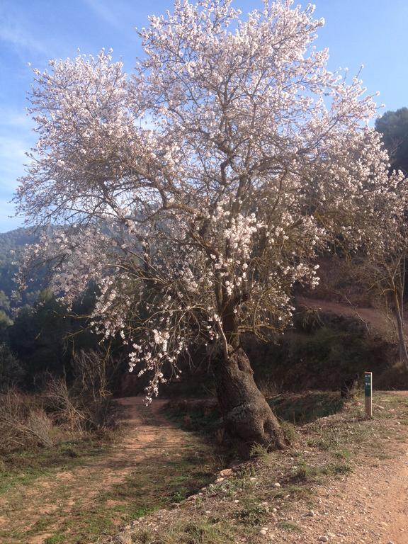 Masia Casajoana Rural Rellinars Екстериор снимка